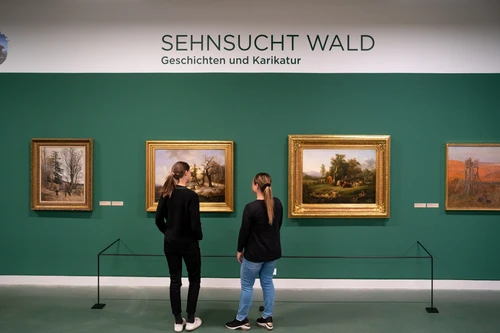Ausstellungsansicht in Sehnsucht Wald im Karikaturmuseum Krems