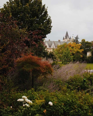 Autumn in Grafenegg