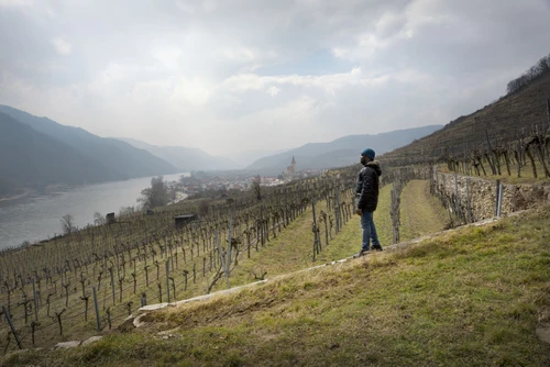 Photography in the Wachau region from the exhibition Sehnsuchtsträume (Dreams of Longing)