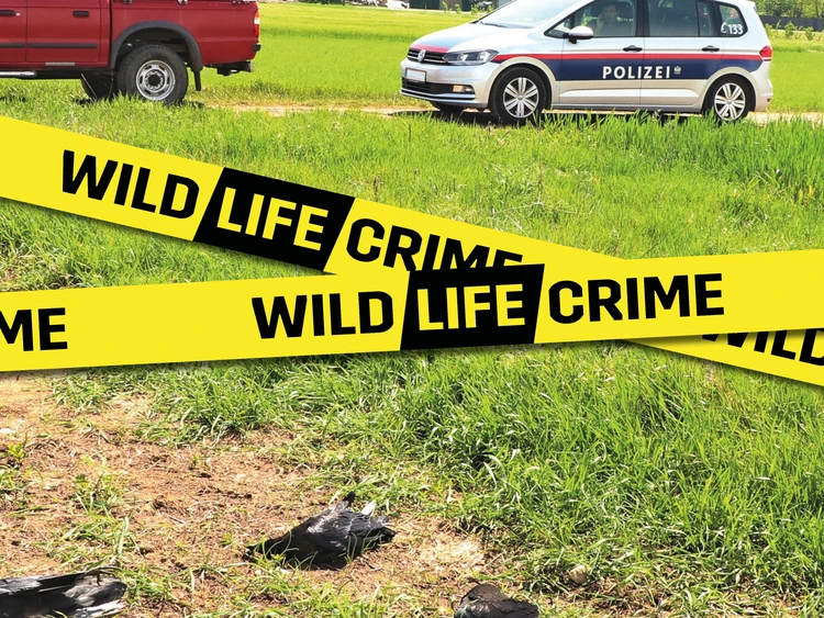  WildLifecrime
