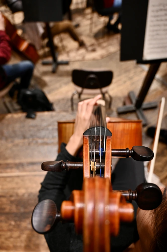 Ein Kontrabass aus der Vogelperspektive