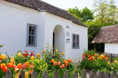 Weiß getünchtes historisches Haus mit grauen Fensterrahmen, davor blühende Tulpenbeete hinter Holzzaun.