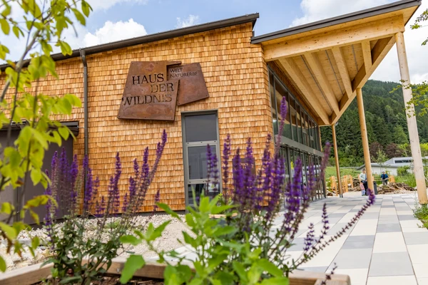 Haus der Wildnis Außenansicht mit Salbei im Vordergrund. 