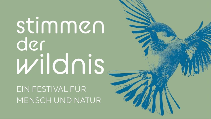 Stimmen der Wildnis Platzhalter-Sujet