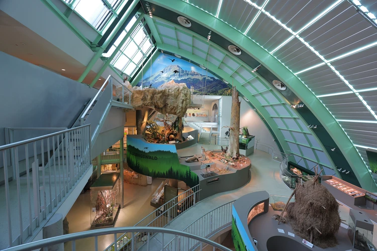 Ausstellungsansicht der Hauptausstellung im Haus für Natur