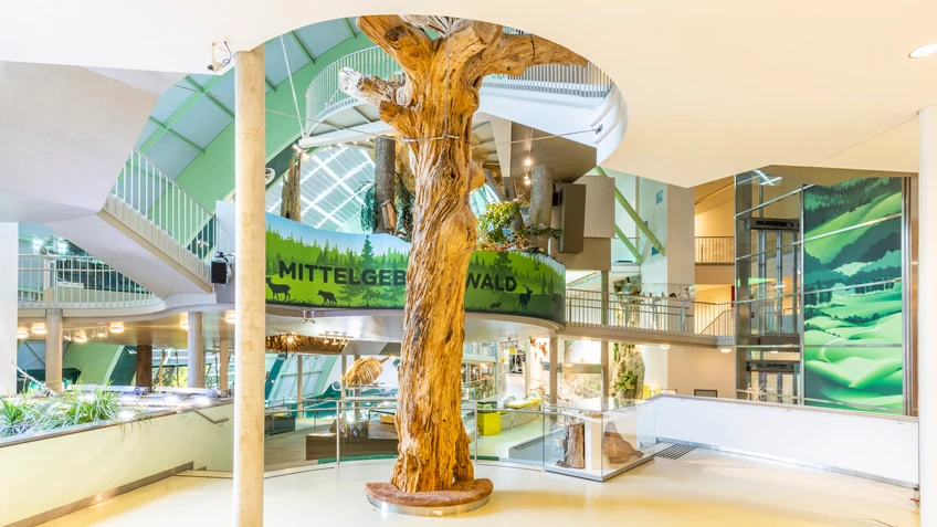 Familien und Kinder im Haus für Natur