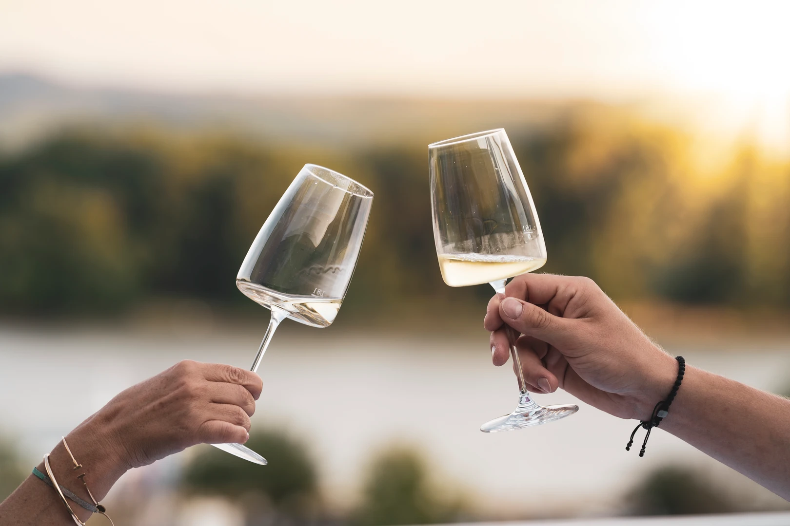 Wine with a View at the Landesgalerie Niederösterreich