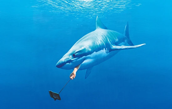 Sujet Hai mit Selfie-Stick von Haderer