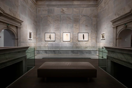 Wandansicht mit mehreren Kunstwerken von Arnulf Rainer in der Ausstellung „Das Nichts gegen Alles“