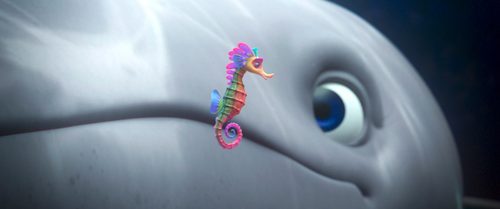 Der letzte Walsänger_Einhorn Film (3).jpg