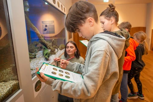 Die Kinder erarbeiten hier eine Frage zu den Fischen im Aquarium. 