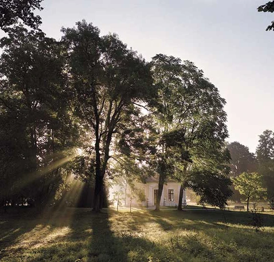 Bäume im Schlosspark Grafenegg