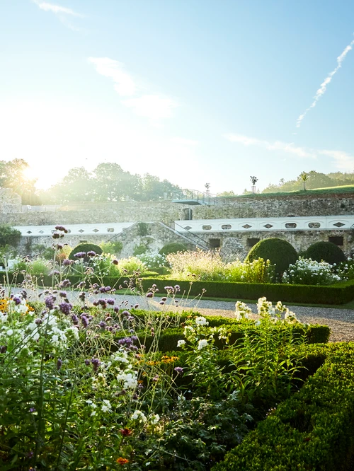 Garten mit Hecken und Blumen bei Sonnenaufgang