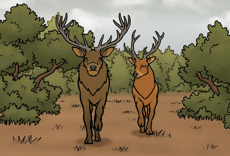 Konzept: Museum Niederösterreich
Text: Thomas Weidinger
Sprecher: Herbert Haider
Grafik: Andi Paar
Animation: Thomas Aigelsreiter/ Kirschgrau
Alle Tiergeschichten wurden produziert von 5&30