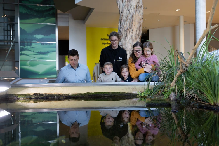 Familien- und Kulturvermittlungsangebote im Museum Niederösterreich.