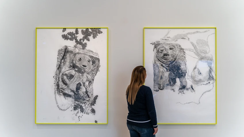 Ausstellungsansicht Iris Andraschek