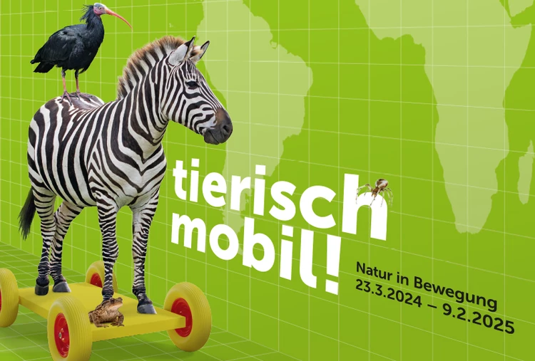 Sujet der Ausstellung "Tierisch mobil! Natur in Bewegung"