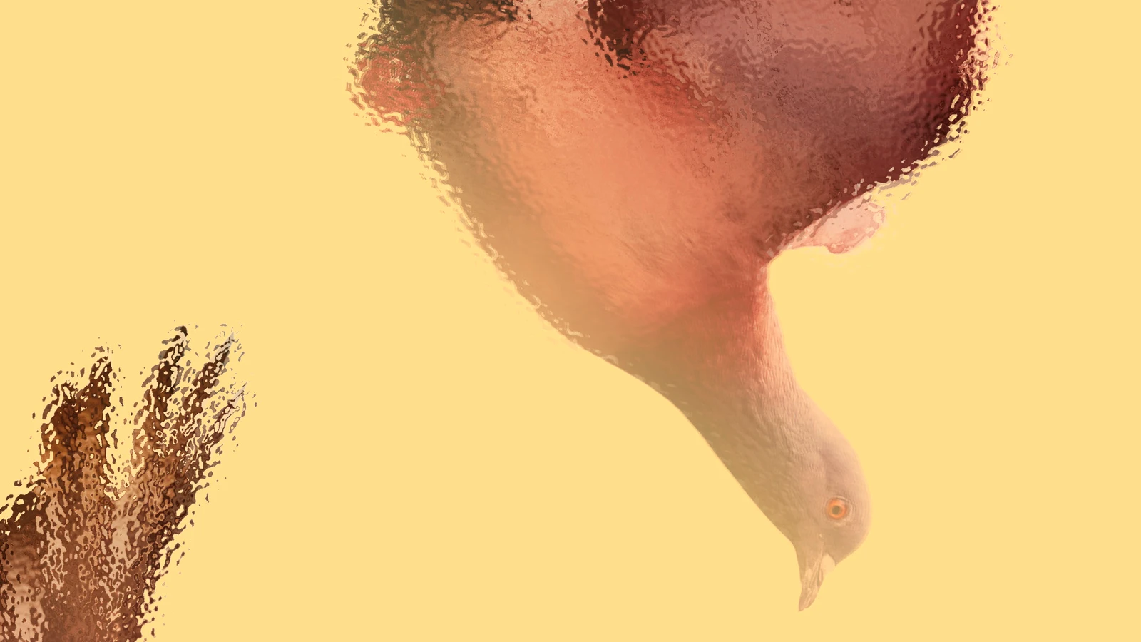 Sujets-Die Möwe-1920x1080-Lo13.jpg