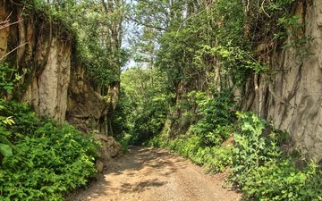Natur - Hohlwege I - Abbildung 1