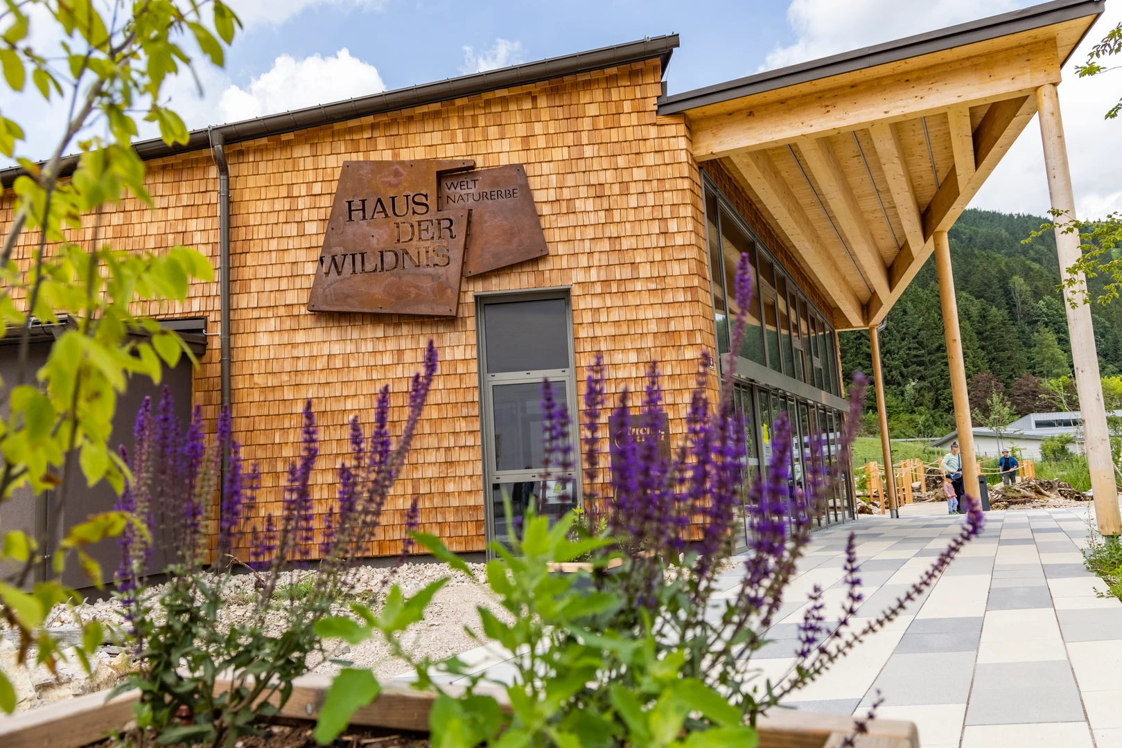 Haus der Wildnis Außenansicht mit Salbei im Vordergrund. 