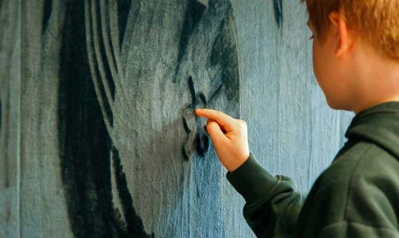 A boy draws patterns with his finger on a wall covered with dark green velvet fabric.