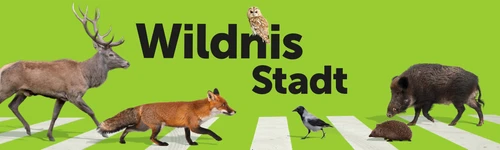 Sujet der Ausstellung "Wildnis Stadt"