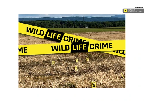 WildLIFEcrime Website
