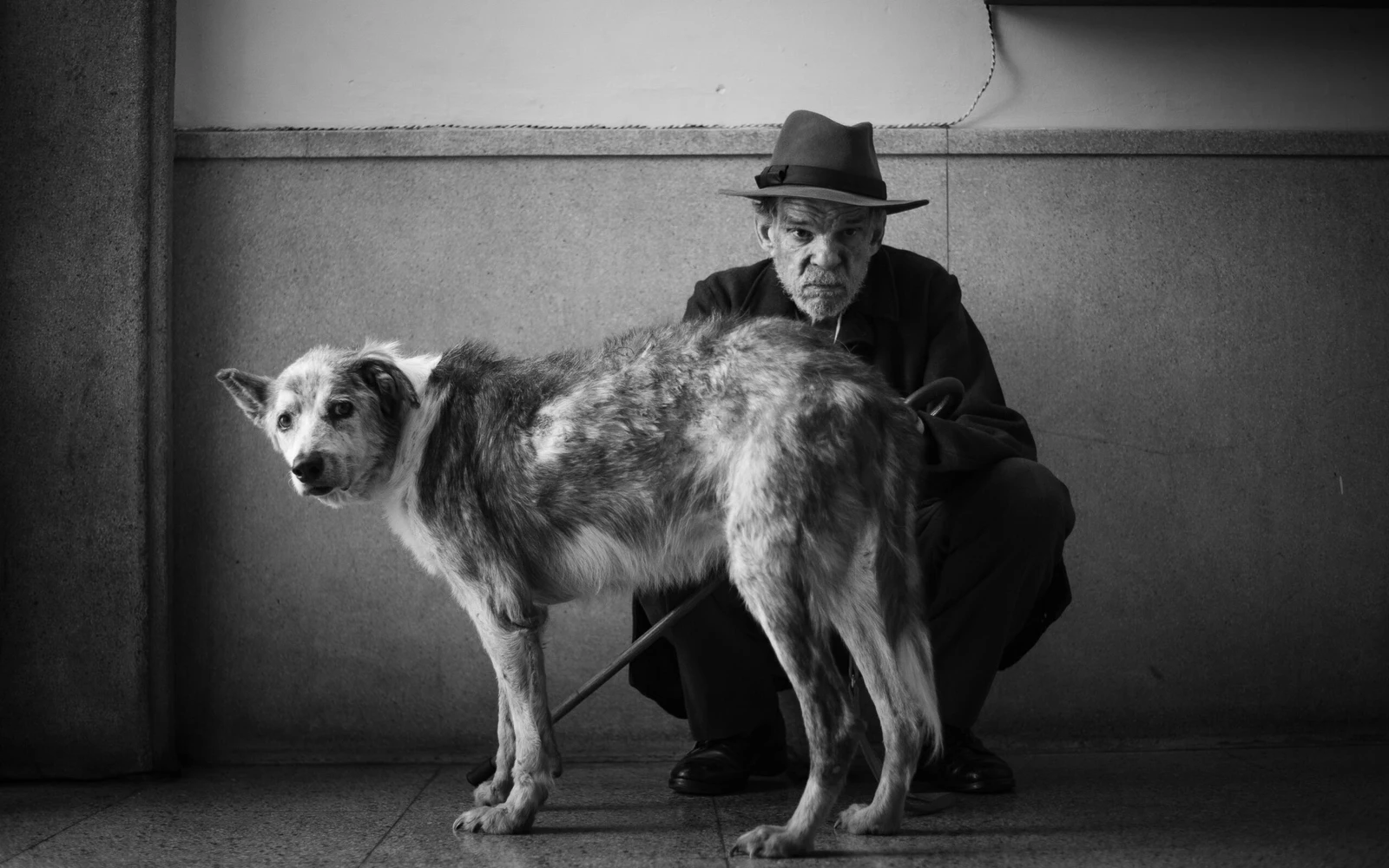 Der Fremde_Filmladen3.jpg