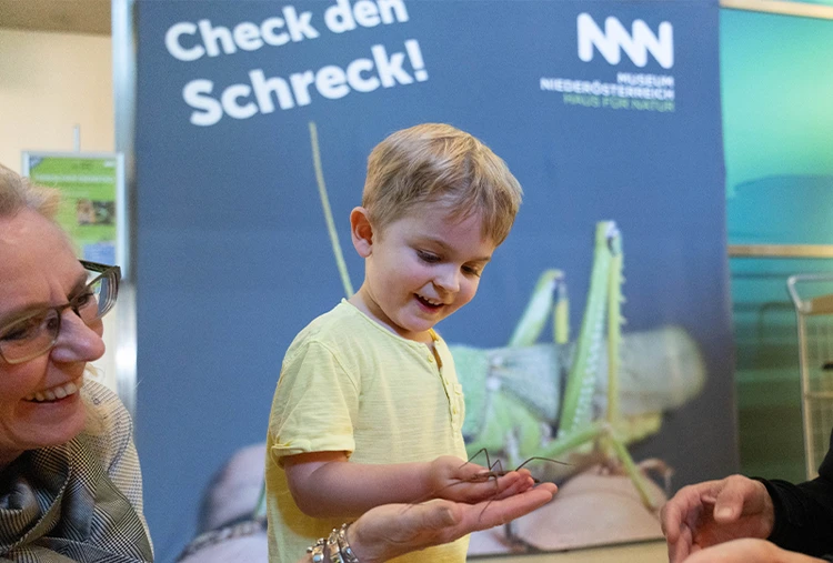 "Check den Schreck" im Museum Niederösterreich