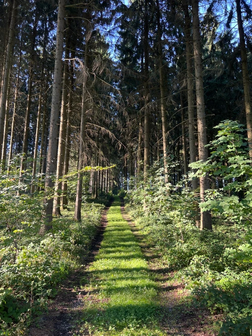 This picture shows circular hiking trail 3 near Schallaburg Castle.