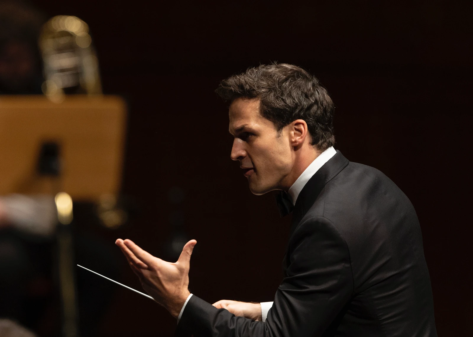 Ottensamer_c_Jorge Carmona_1.jpeg