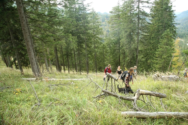 Eine Gruppe wandert durch den Wald. 