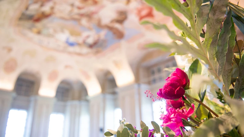 SSM26 Rahmenprogramm Programmfoto Vortrag Melker Stiftsbibliothek