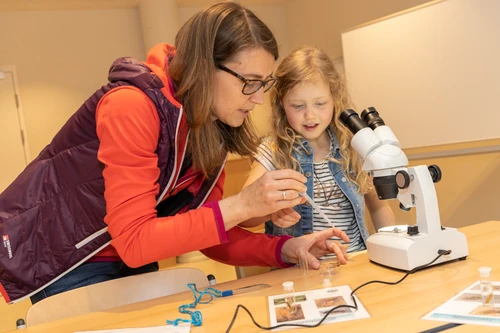 Beim Wasserchemie-Workshop schlüpfen die Kinder in die Rolle von Chemiker*innen und untersuchen das Wasser des Lunzer Sees. 